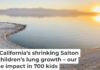 The Salton Sea is shrinking and releasing toxic dust from its lake bed. Jennifer Davis/iStock/Getty Images Plus